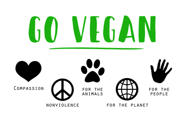 vegan-1343429_640