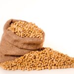 大豆はIGF-1血中濃度を特別上げ下げしない。大豆以外の植物タンパク質は下がる｜栄養学サイトのNutritionFacts.orgを見よう≪２０２３年５月１７日以前の記事≫