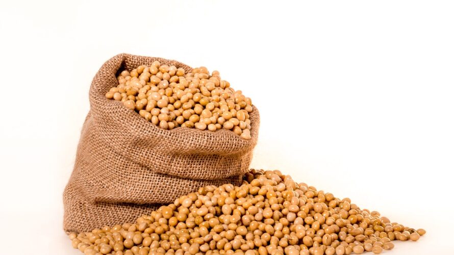 大豆はIGF-1血中濃度を特別上げ下げしない。大豆以外の植物タンパク質は下がる｜栄養学サイトのNutritionFacts.orgを見よう
